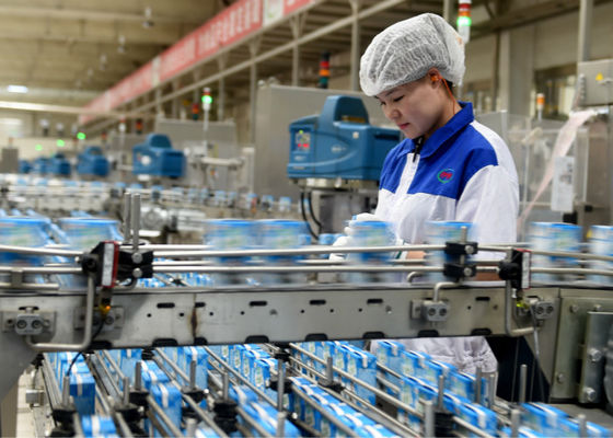 Chiny Laktic Acid Bacteria Mleczarnia Linia produkcyjna Jogurt Manufacturing Equipment / Machine dostawca