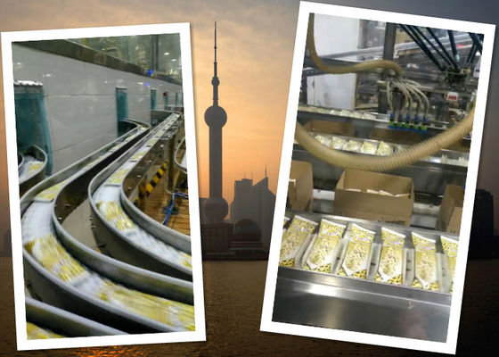 Chiny Automatyczne przenośniki taśmowe do pakowania w lody dostawca