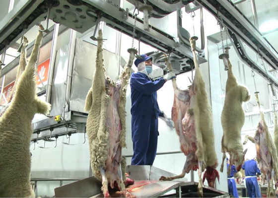 Chiny Linia przerobu mięsa jagnięcego, linia do produkcji przemysłowej, dalsze przetwarzanie dostawca