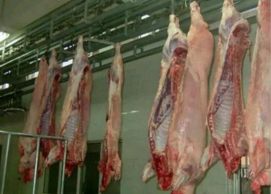 Chiny Linia do produkcji mięsa wieprzowego rozdrobnionego do mięsa Sprzęt do uboju Sterowanie PLC dostawca