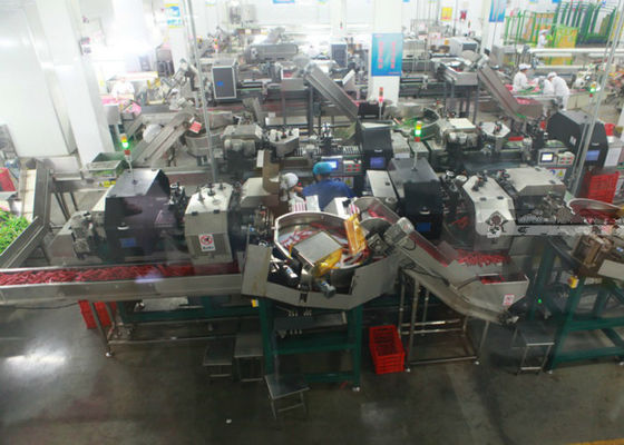 Chiny Linia produkcyjna kiełbasa szynowa / linia przetwarzania Hot Dog Salami Processing System dostawca