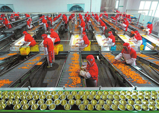 Chiny Linia do produkcji puszek plastikowych, linia do produkcji żywności, owoce i warzywa dostawca