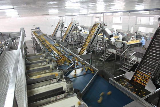 Chiny Linia produkcyjna puszki na żywność w pełni półautomatyczna 100-300 puszek na godzinę z dużą prędkością dostawca