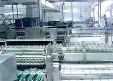 Chiny Szklane butelkowe urządzenia do przetwarzania napojów Linia do produkcji orzechów włoskich / orzechowych dostawca
