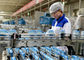 Laktic Acid Bacteria Mleczarnia Linia produkcyjna Jogurt Manufacturing Equipment / Machine dostawca
