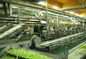 Linia do produkcji żywności żelowej, maszyna do pakowania produktów spożywczych, wysoka wydajność dostawca
