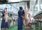 Linia przerobu mięsa jagnięcego, linia do produkcji przemysłowej, dalsze przetwarzanie dostawca