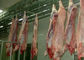 Linia do produkcji mięsa wieprzowego rozdrobnionego do mięsa Sprzęt do uboju Sterowanie PLC dostawca