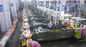 Linia produkcyjna kiełbasa szynowa / linia przetwarzania Hot Dog Salami Processing System dostawca