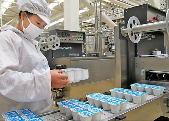 Chiny Linia do produkcji mlecznych plastikowych kubków, linia do produkcji jogurtów Bakterie kwasu mlekowego dostawca